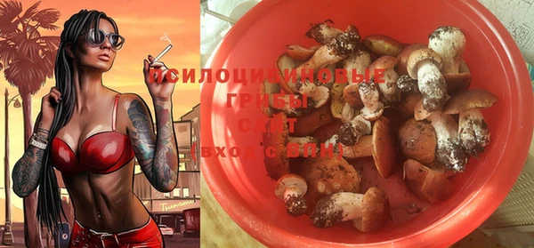 mdma Горнозаводск