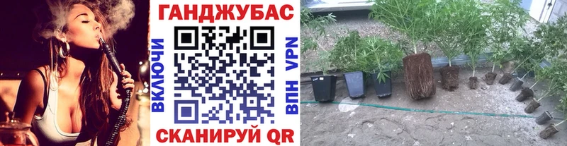 Марихуана тримм  Купить закладки  Лебедянь 